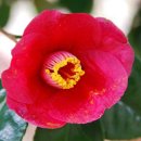 옥림해안 이미지