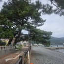 학동리조트펜션 이미지