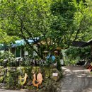 민박의전설 이미지