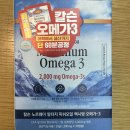 알티지 오메가3 먹는시간 3주 변화 후기