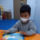 태비 튼튼태권도 이미지