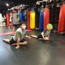 고니복싱 이미지