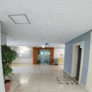 한국과학기술원 이미지