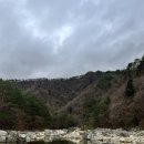 스테이인숲 이미지