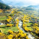 어부의만찬A 이미지