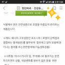 퀸즈헤나