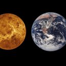 금성서적 이미지