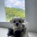 간식잇댕 이미지