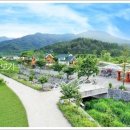 물소리새소리펜션 이미지