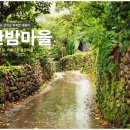 남천마을길 이미지