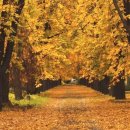 공간카페 이미지