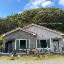 말티가는길 이미지