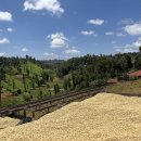 고하농장 이미지