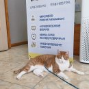 주주동물병원 이미지