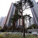 중앙동215 이미지