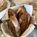 [2024년 3기] 홈 카페 베이커리(오후) 이미지