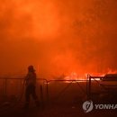 남호농장 이미지