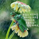 쉬어갑시다 이미지