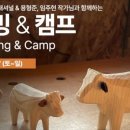 부에노사이트 이미지