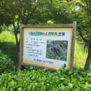 팔용산 등산로 입구 | [창원/등산] 비음산 팔용산 등반