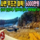 여주-0329 네이버블로그