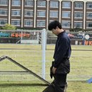 개토 | 개토피아 가봤더니 강아지가 변했어요