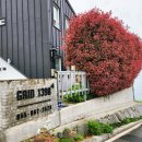 그리드1398 이미지