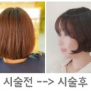 블랙스완헤어살롱 네이버블로그