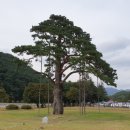 비로산장 이미지