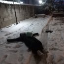 소은목장 | 떠난 건 2월인데 7월에 글을 쓰네 (1)