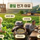 달밭농장 네이버블로그