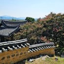 조선장어 - 여주시 | 조선장어