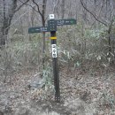 토지주유소 이미지