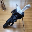 영남스포츠월드 이미지