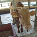 은석농장 이미지