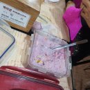 중앙무도장 이미지