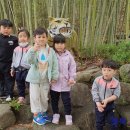 모암초교병설유치원 이미지