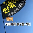 재치있는 깃발 모음 이미지