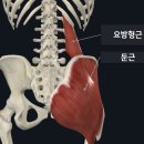 지우한의원 이미지