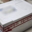 [굿뜨래몰] 스테비아 대추방울토마토 맛있고 신선해서 추천하는 우듬지팜 토망고 후기