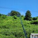 경남중기(거제마린) | 거제 가볼만한곳 :: 상상낚시터, 스타마린수상레저, 오션뷰카트, 팡팡카트장