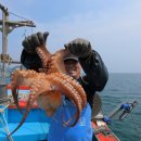 운수대통마을 이미지