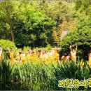 자연그대로 이미지