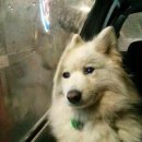 노일중학교 이미지