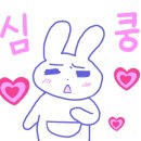 베베패브릭
