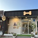 반려반상 이미지