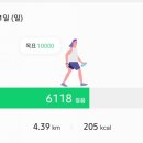 보태닉마켓 이미지