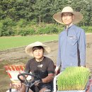 산계3 이미지