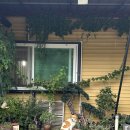 토담가든 | 포항 구룡포 숨은 맛집 토담가든에서 오리불고기 백숙 점심회식