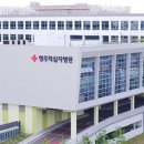 한국교통장애인협회 영주시지회 이미지